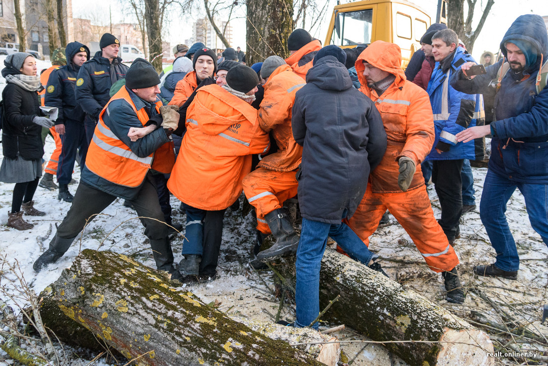 Жители вновь помешали вырубить деревья в Котовке