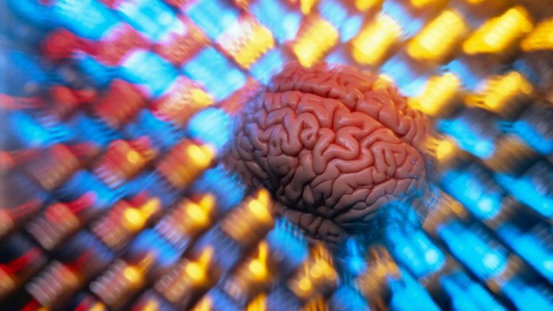 Биологам удалось заставить жить мозг вне тела 36 часов