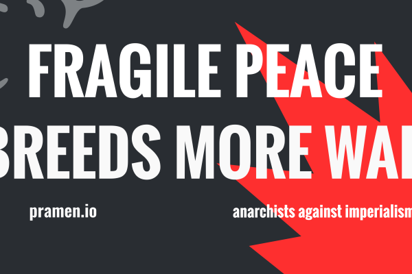 Призыв к анархическим блокам в Варшаве, Вильнюсе и Берлине, Тбилиси и Вене 24 февраля (ru, pl, en, de) (обновлено 20.02)